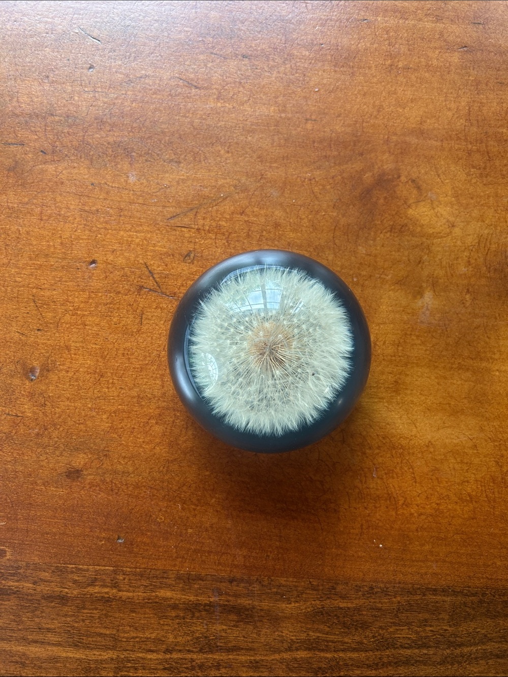 Vintage Tarax Infinity Dandelion Seed Paperweight - White on Black